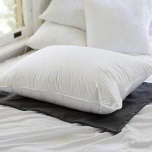 Down Pillows