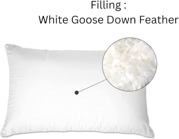 Feather Pillows - Image 2