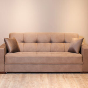 Sleeper Sofa