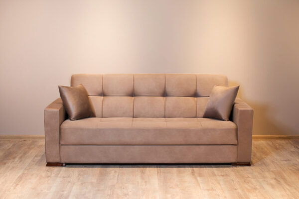 Sleeper Sofa